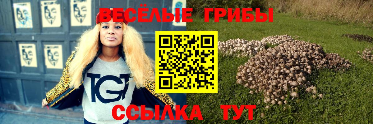 Псилоцибиновые грибы Cubensis Кировск