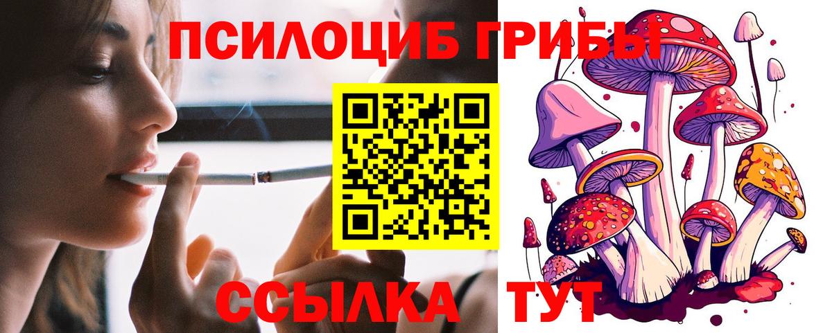 Галлюциногенные грибы Magic Shrooms  Вход с VPN  Кировск 