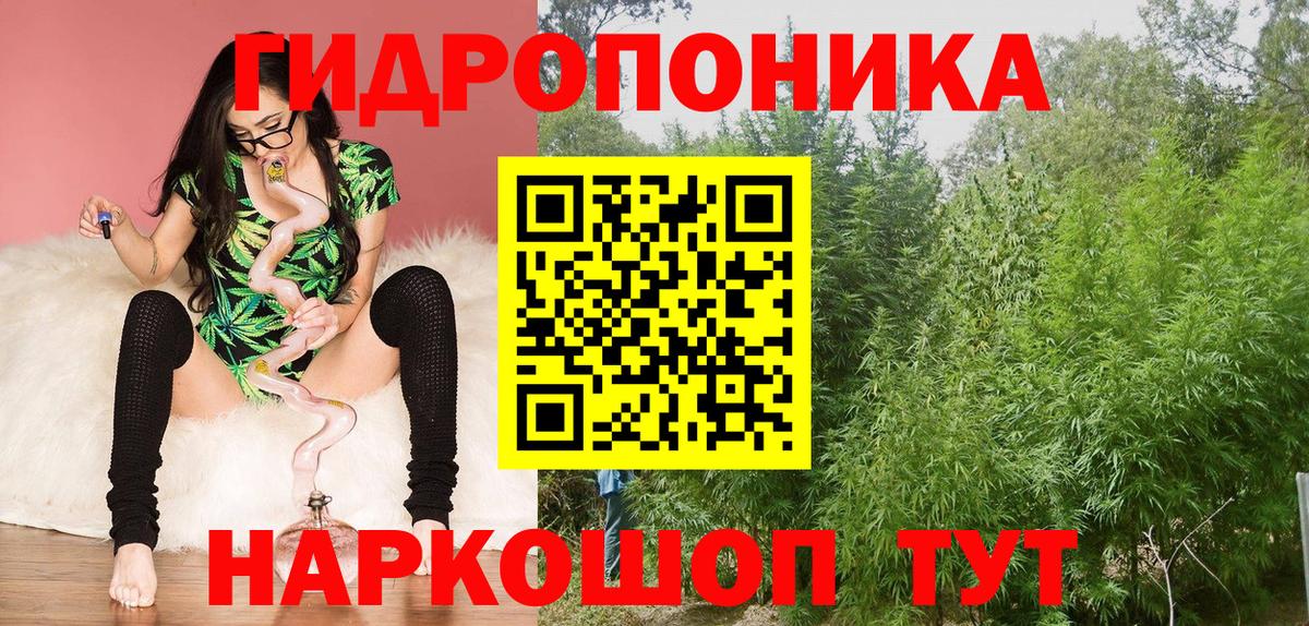 Конопля сатива  Марихуана индика  Кировск  МАРИХУАНА марихуана  Вход с VPN 